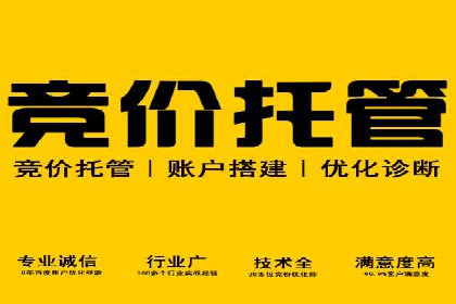 百度SEO推广公司案例研究：助力企业实现品牌提升